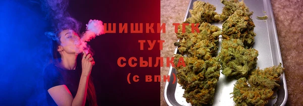 МДПВ Инта