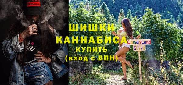 МДПВ Инта