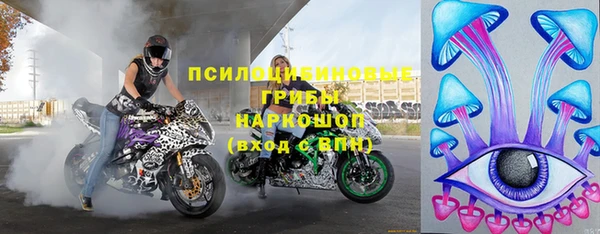 МДПВ Инта