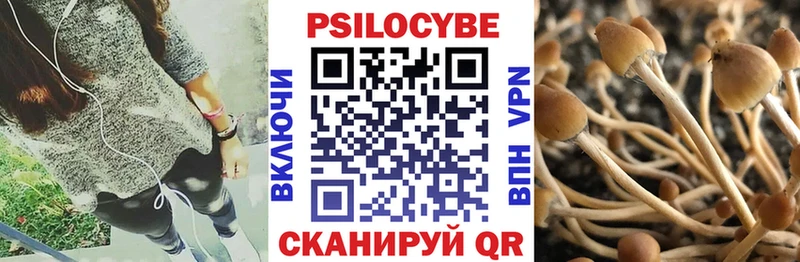 Псилоцибиновые грибы MAGIC MUSHROOMS  Купить  Николаевск 